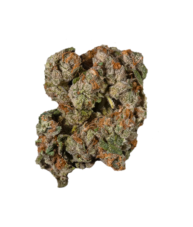 Ice Cream Cake x Lemon Tree